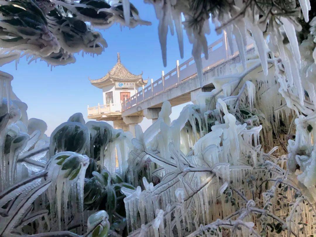 打造“世界电瓷之都”!湖南省电瓷电器行业商会年度总结部署